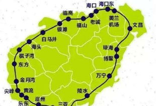 海滩漫步：捡贝壳的乐趣