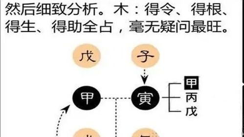孩子八字偏弱如何调整，使其与八字偏强相协调？