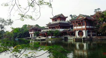 第四天： 南湖公园的惬意与返程