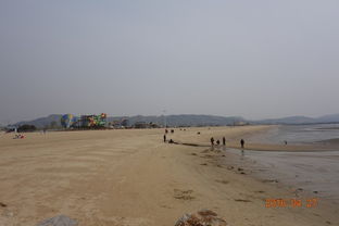 营口的起点：一场意外的挑战