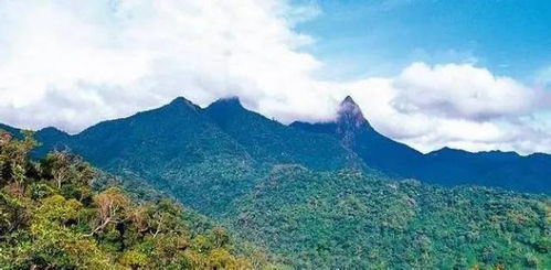 风水探头山和贵人峰有何本质区别？