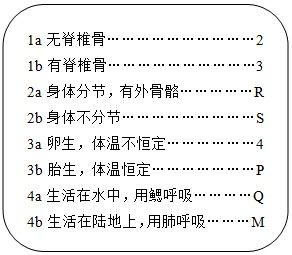 第二步：与前尘旧债对峙