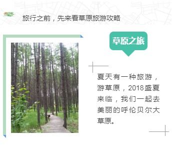 五、: 一场穿越时空的奇妙之旅