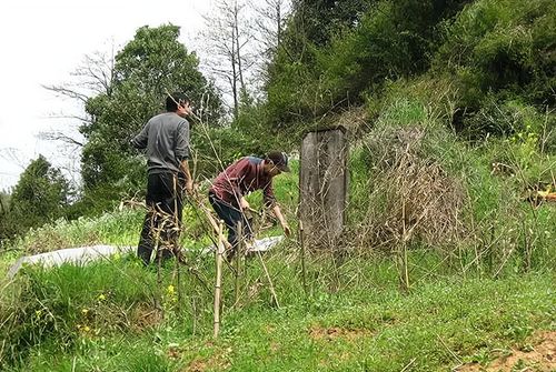 清明扫墓传统，老人言：慎上坟，传承孝道情