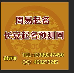 一些更…嗯…“特别”的名字推荐 (请谨慎参考!)
