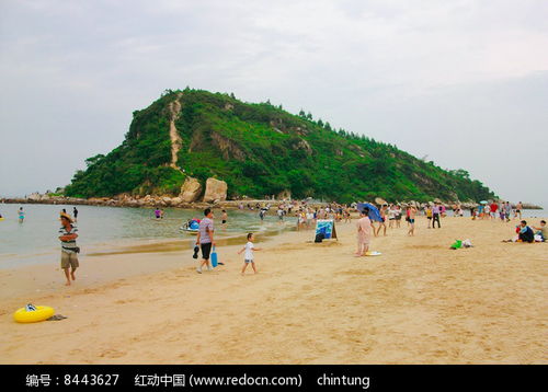 丰富有的海滩活动