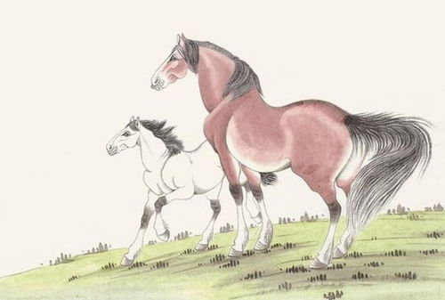 属马2026年感情婚姻运势如何？