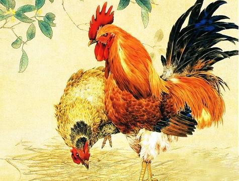 2026年属鸡人学业运势如何，手机号选择有何指南？身体情况又如何？