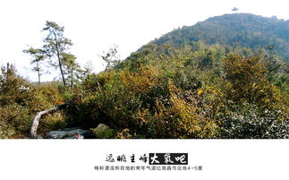 梅岭主峰？呵呵！看完这篇你就知道该去哪儿了