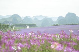 现场惊魂记