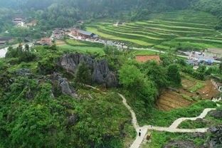 李花源生态旅游区：万亩李花海，  三月银装素裹的错觉