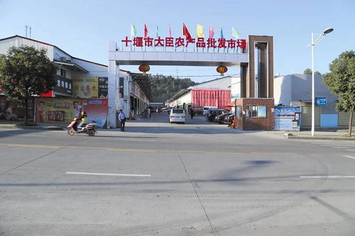 拆迁的无奈：告别熟悉的身影