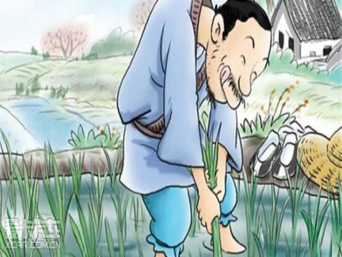 深厚夜的寂静