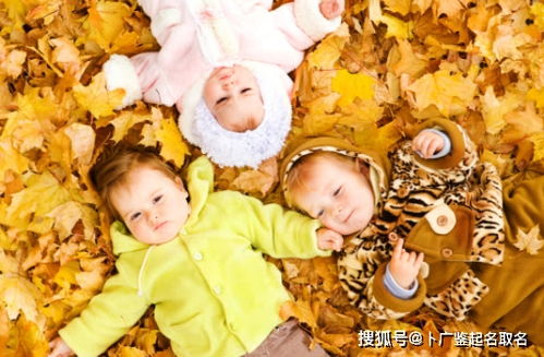 蛇年男娃起名：玄之又玄，乱花渐欲迷人眼！