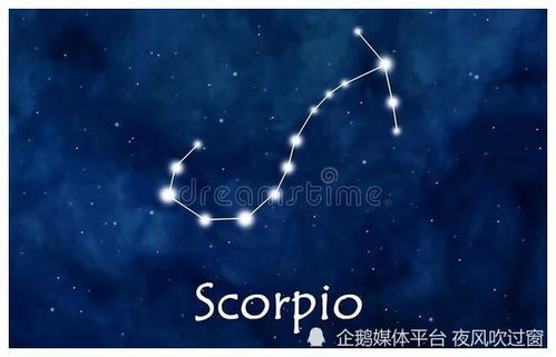 他们是怎么做到的？