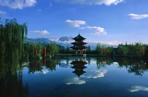 四、湿地生态：同 江湿地公园