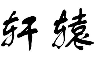 结合姓氏特点起名