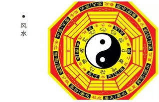 四、 生肖&星座联动版《风水中的气与形》—乱入篇章（随缘） 🌌🐭♈︎♊︎♍︎🐂🐰🐲🦁🐯🦊🐘🦅🐍🐴🦓🙈🙉🙊👻👽🤖🤡🎃)