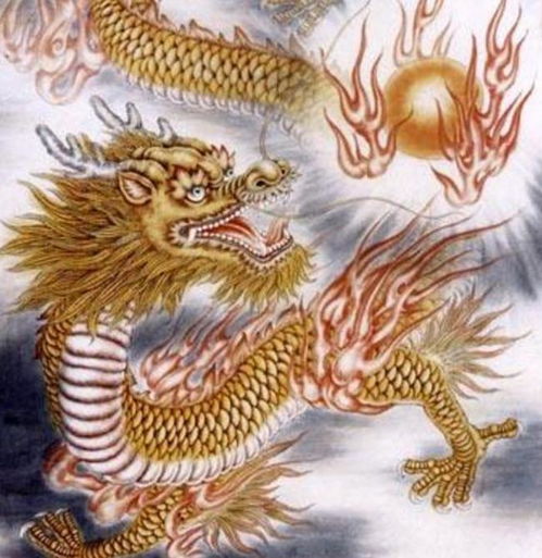 属龙男找对象指南