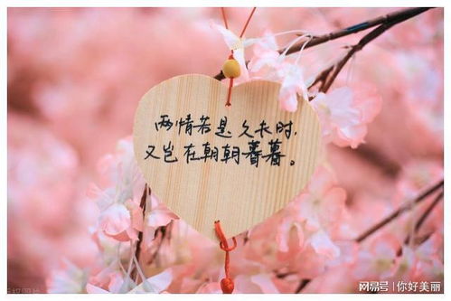 失去爱人后哪些星座女会考虑终身不婚？