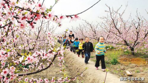 哎呀，春天来了你还在家里发霉吗？