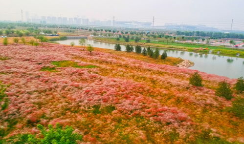 亲子游， 共享美好时光