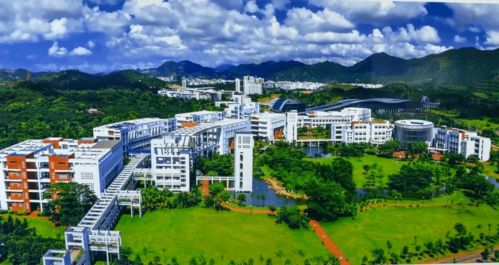 观湖考场：2026年考试与旅游的魔幻大杂烩