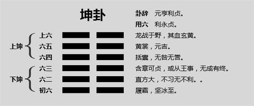 曾仕强坤卦吉凶解释大全中，有哪些具体好卦吉凶案例？