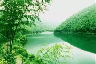 5. 南山竹海休闲游 (适合发呆)