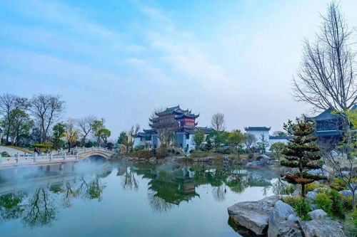 五、 海龙岛——水上乐园背后的生态危机