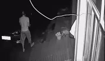 星座与生肖交织之谜