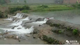 星座与水象能量的纠缠