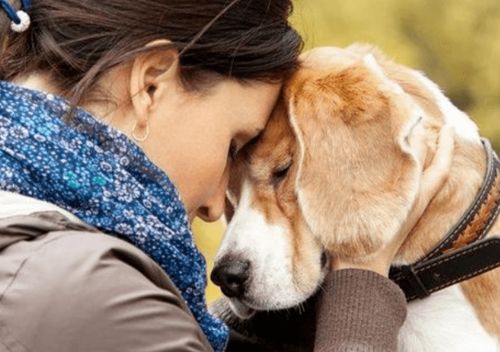 1.2 突然出现的生肖密码