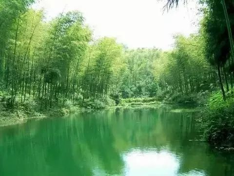 前言：一个让人抓耳挠腮的五一选择