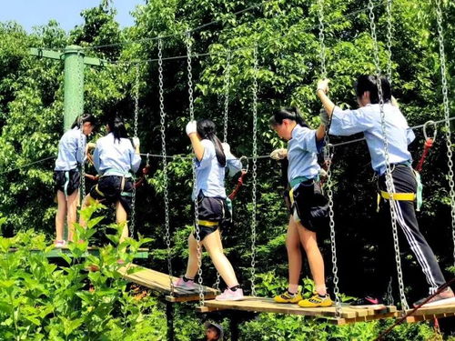 亲子时光：难忘的回忆