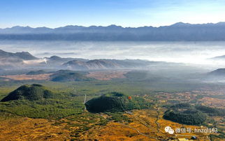 避坑指南（敲黑板！）