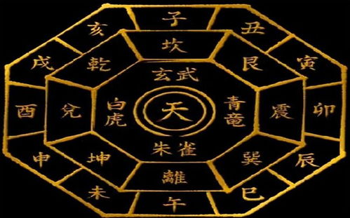 巳火命的人，子水克巳火，有没有什么幸运色可以破解这种相克呢？