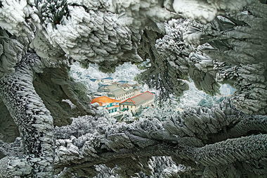 冬至黄山， 一抹银白，如梦如幻。那冬日黄山门票，究竟定价几何？这背后又隐藏着怎样的门票暗地？今天就让我带你揭开冬日黄山门票的神秘面纱，探寻这冬日美景的门票暗地。
