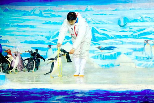 *1. 雪地寻宝*