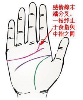 一、 感情线分叉的常见含义