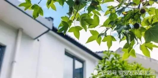 ① 那条被竹林遮住的“石板路”——走错了还能遇见哪些？