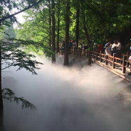 樱桃沟门票市场价格揭秘