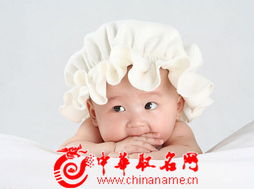 猪年贺姓女宝宝起名大全，有没有推荐猪年女宝宝起名最好的名字？