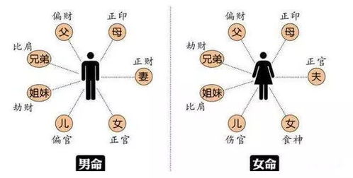 姓名学与命运的关系