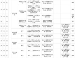 五、 年龄计算的细节误区与趣闻