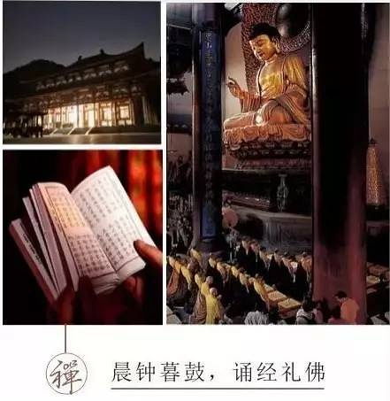 从“静心谷”到崭新的名字：一场未知的旅程