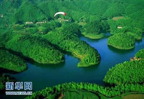 蜀南竹海：绿色地狱