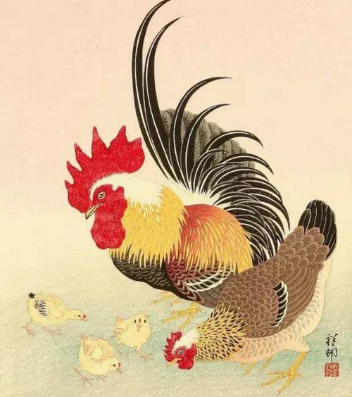 二、 属鸡人的太岁历程——时间轴（乱序版）