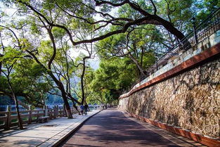 路线A：经典速览