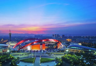 奥体森林公园——树影婆娑的秘密花园